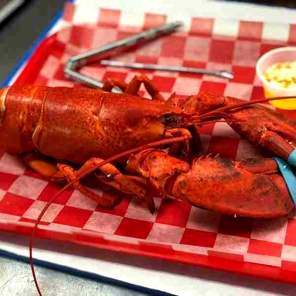 cooked lobster