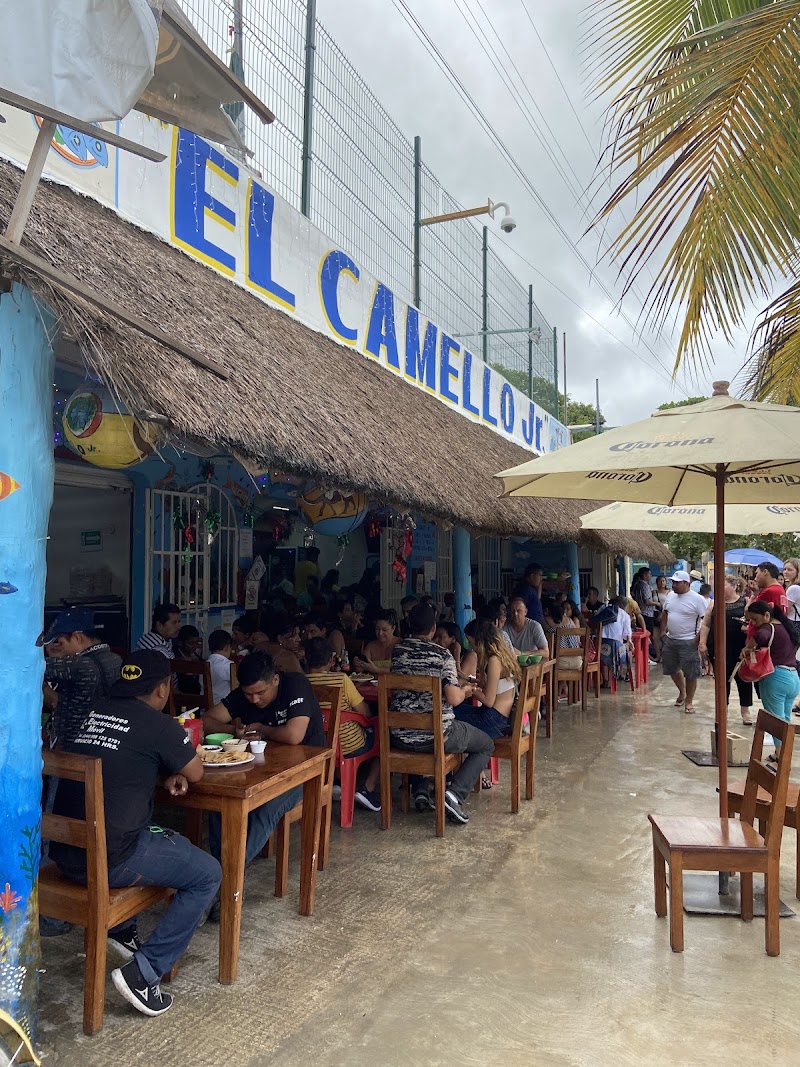 El Camello Jr.