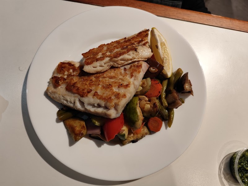 Ártico