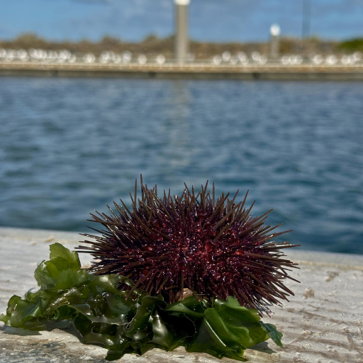 Uni at The Roe