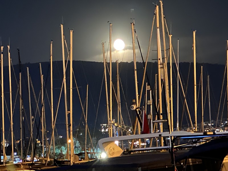 Marina Yacht Club Bodrum