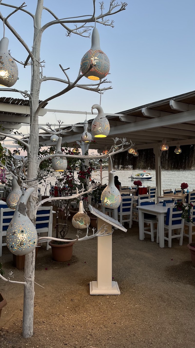 SiESTA RESTAURANT GÜMÜŞLÜK BALIK RESTORANI