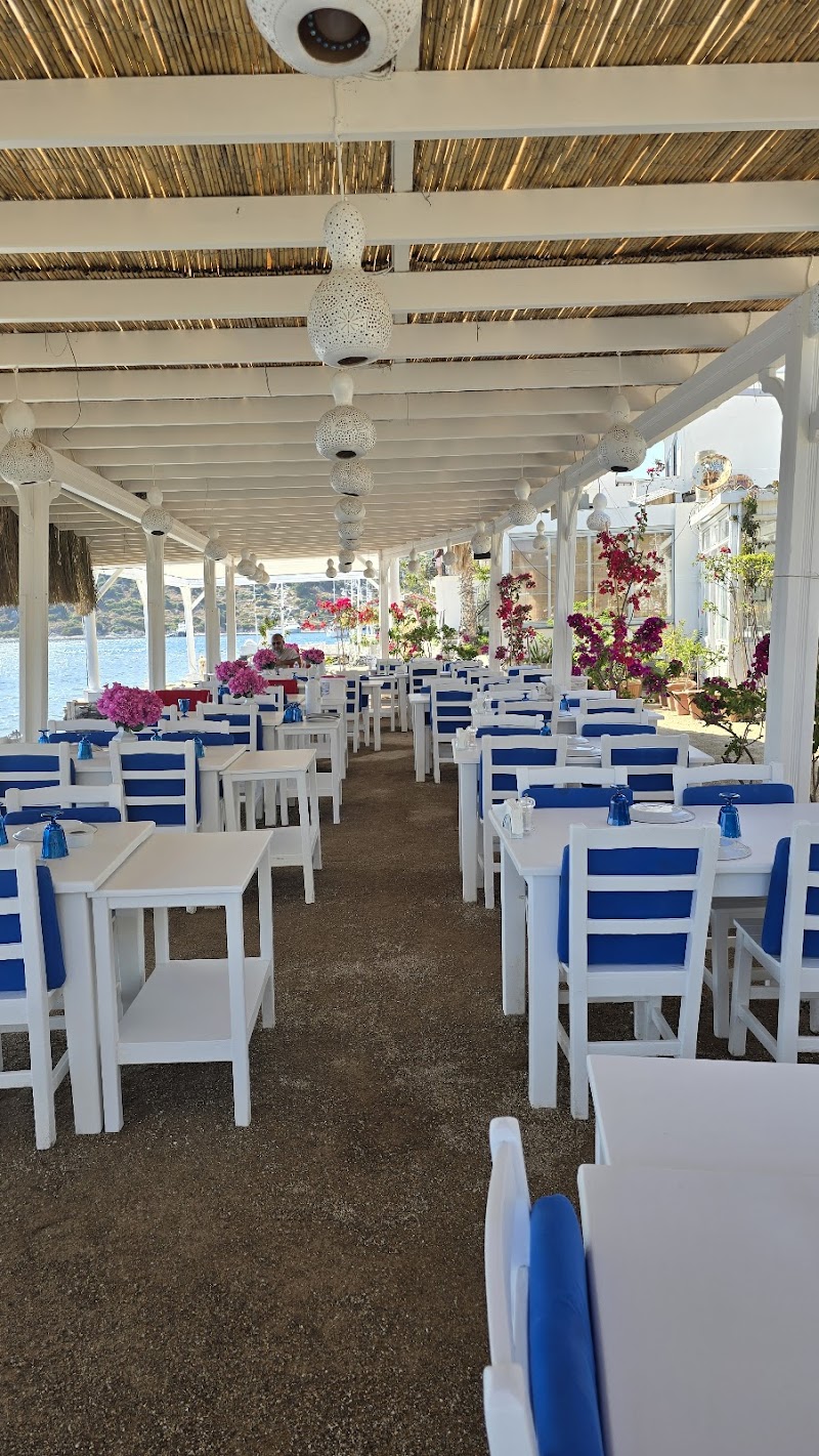 SiESTA RESTAURANT GÜMÜŞLÜK BALIK RESTORANI