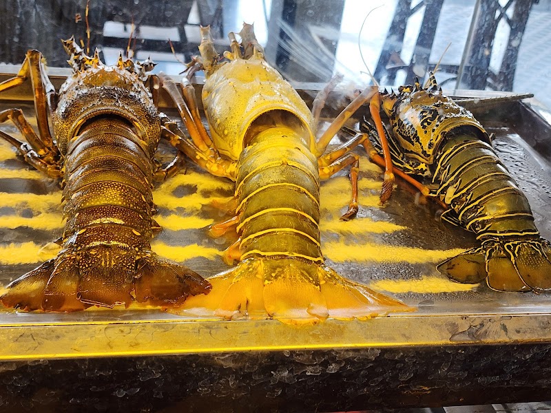 Fat Fish