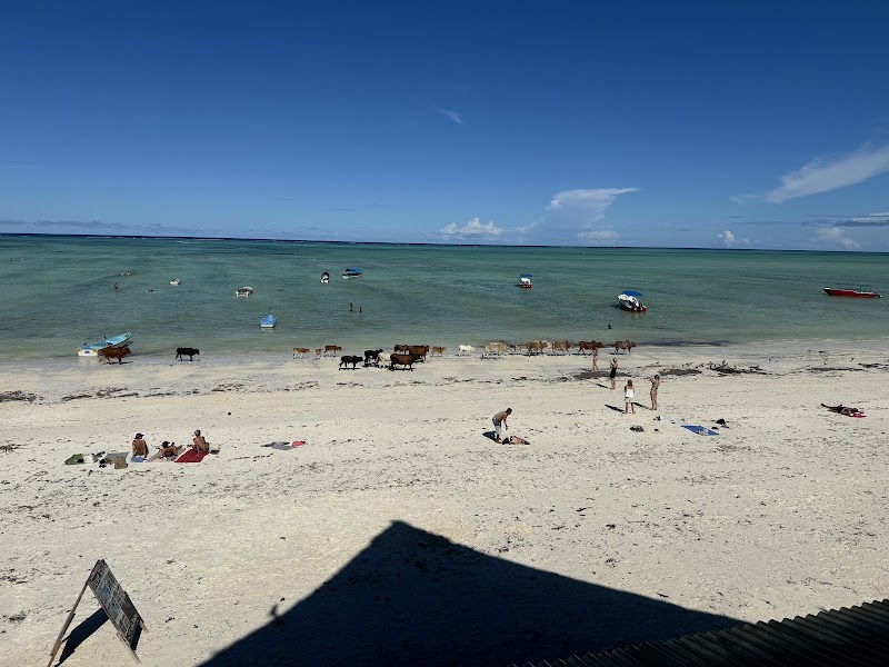 Delight Zanzibar