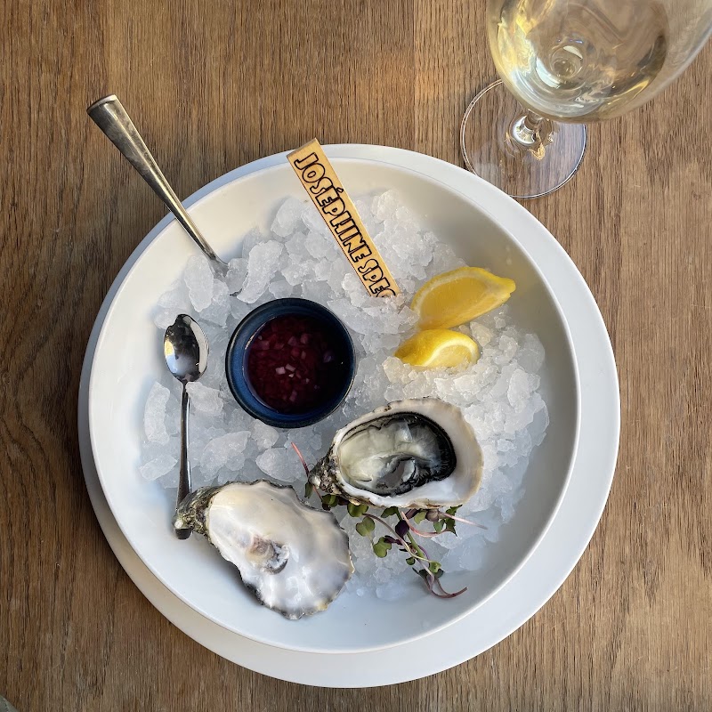 Blue Fjord s.r.o.