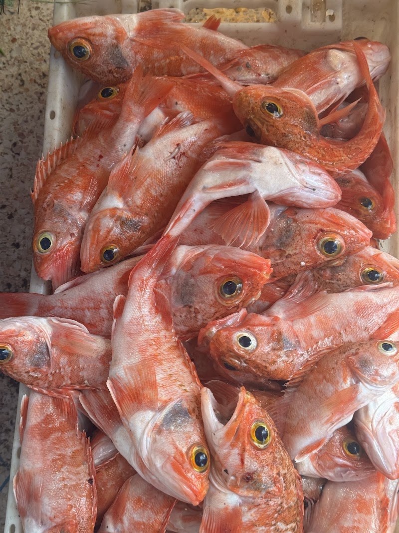 Abdul Fish
