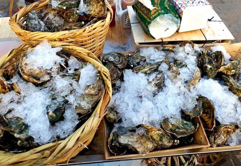 Oysters by youssef