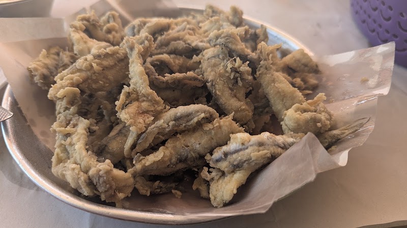 Poisson Mahdia اسماك المهدية