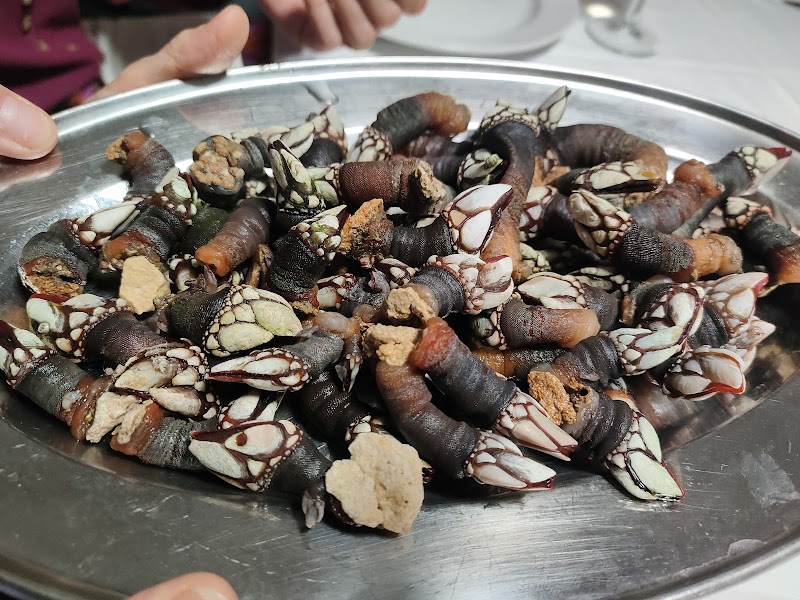Marisqueria A Estrela Galega