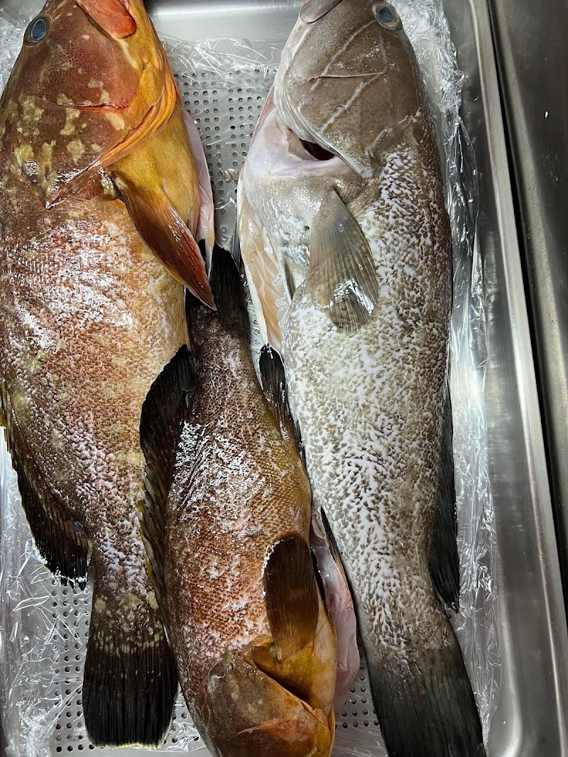 FISH TAVERN TO XEFOTO