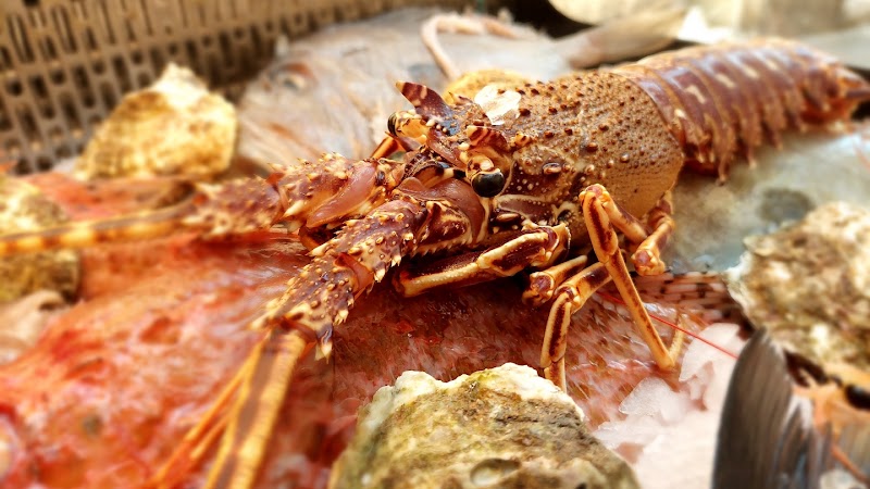 Skalinada Seafood & Steak