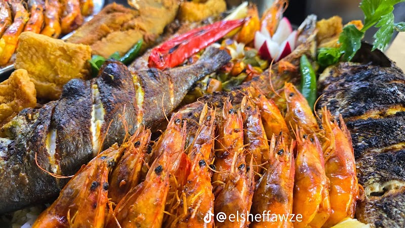 Fish and More