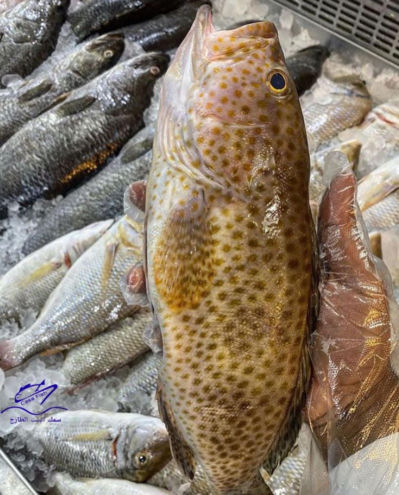 Casa Fresh Fish