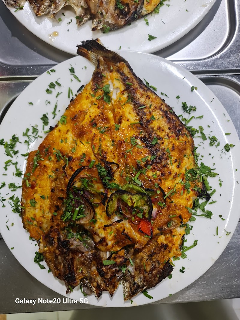 Alam AlbeharAjman Seafood Restaurant Rumilla 3 مطعم عالم_البحار_عجمان الر ميله3