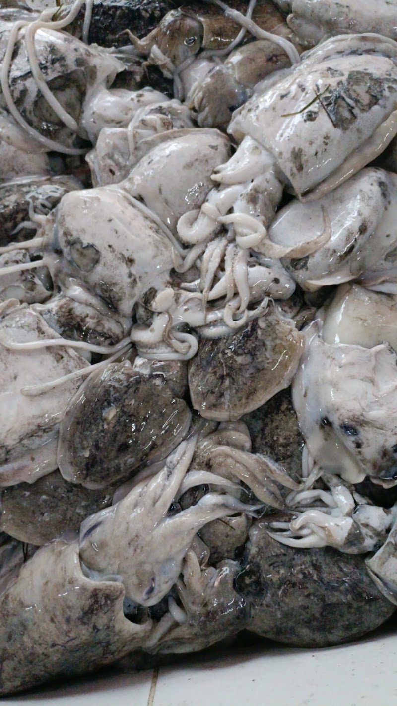 Grilled Fish & Seafood