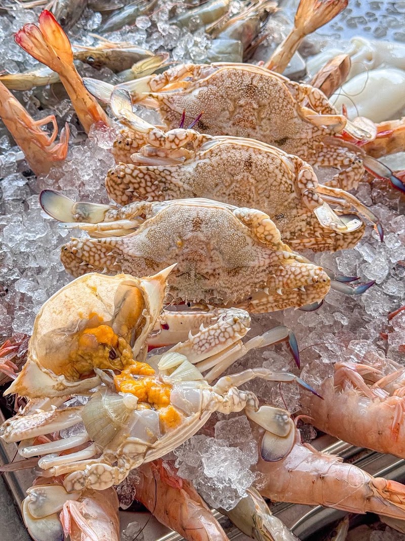 Samak ba7r سمك بحر