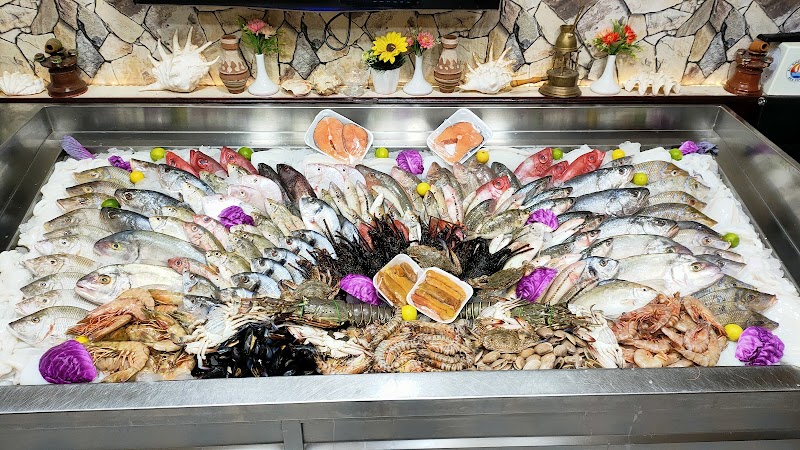 Alsheraa Fish
