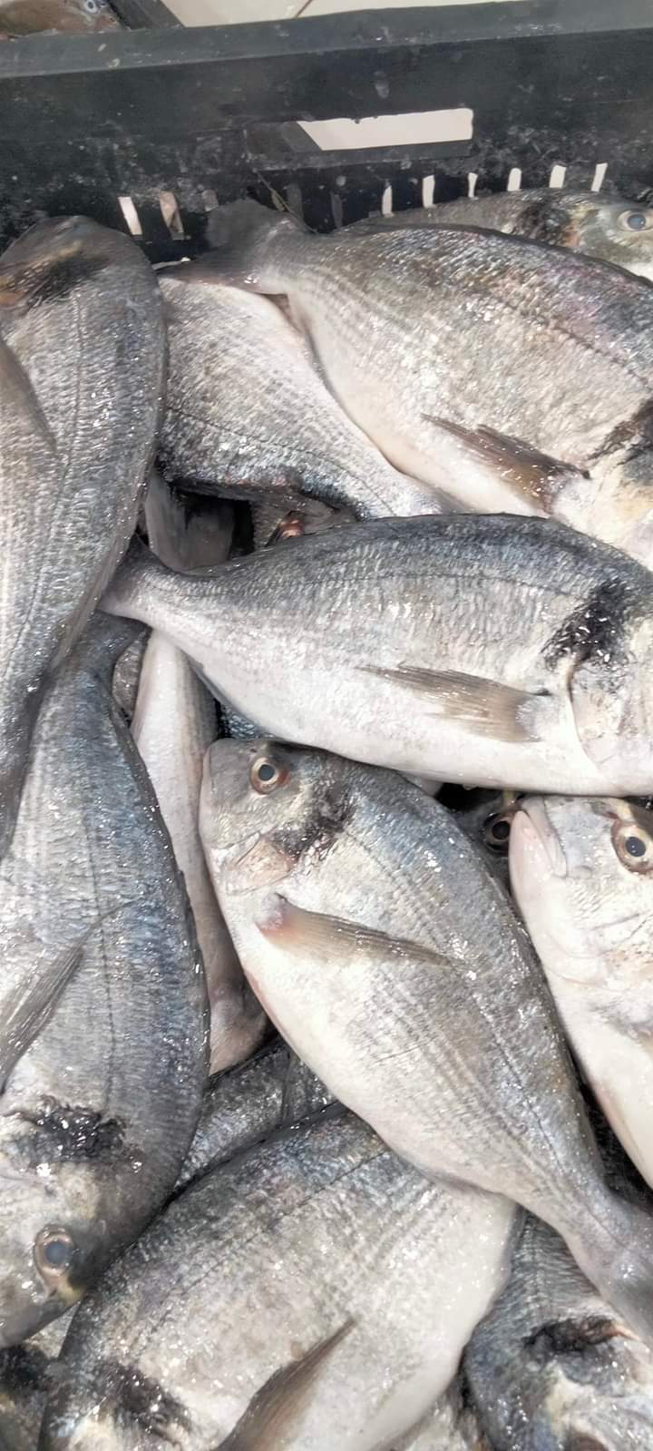 مسمكة مشاوي الميناء POISSONNERIE