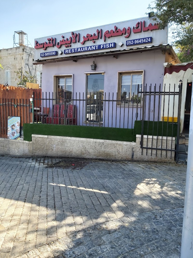 Fish Restaurant مطعم البحر المتوسط للاسماك