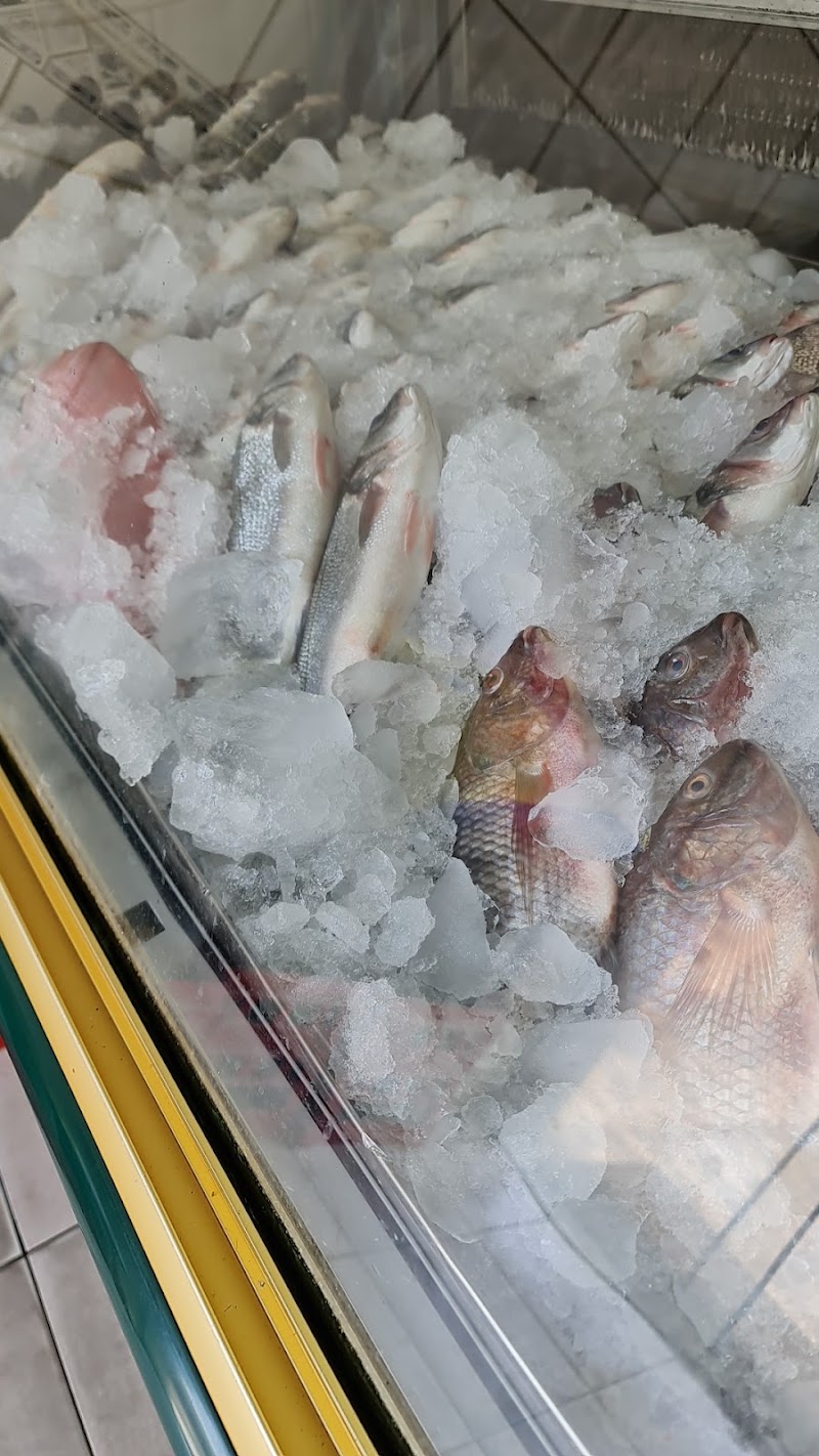 Gambarina fish
