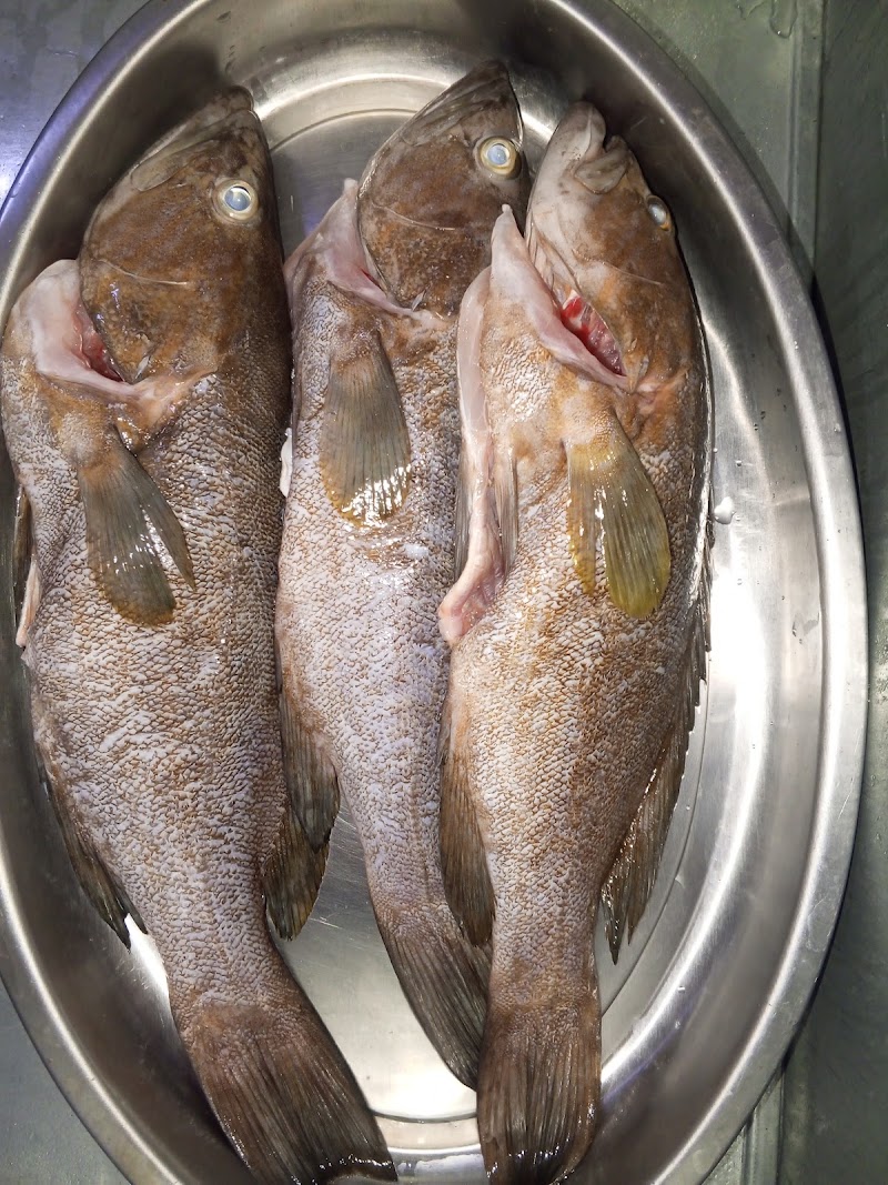 sanyour sea food