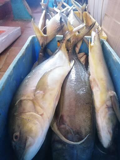 Fish Restaurant
