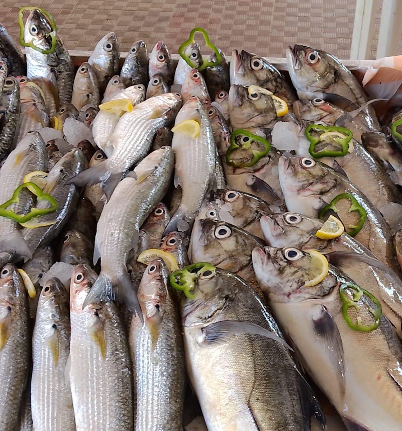 Fresh Fish SEA FOOD