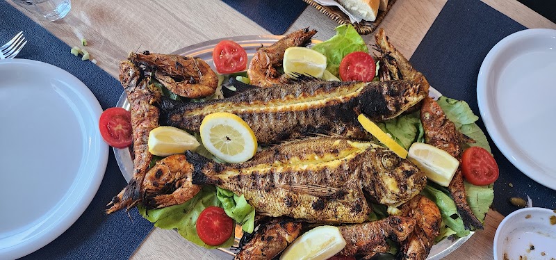 Marina Fish