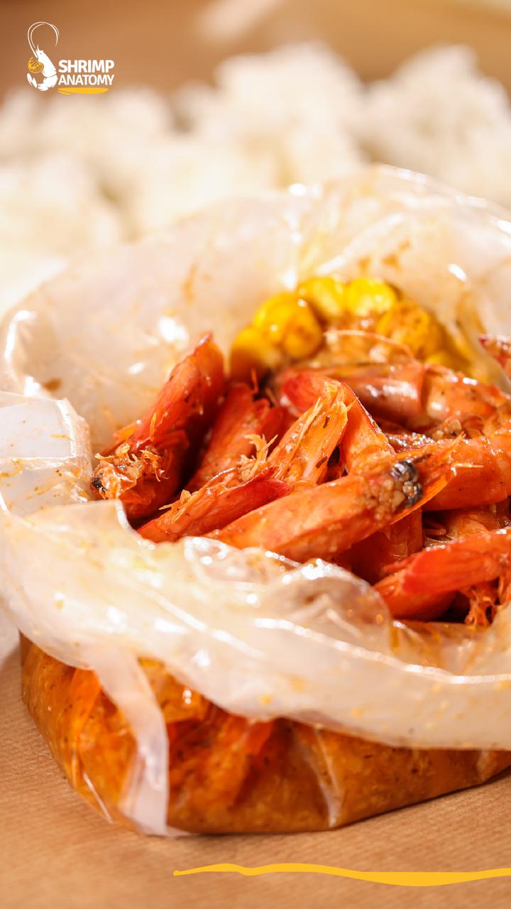 Shrimp Anatomy