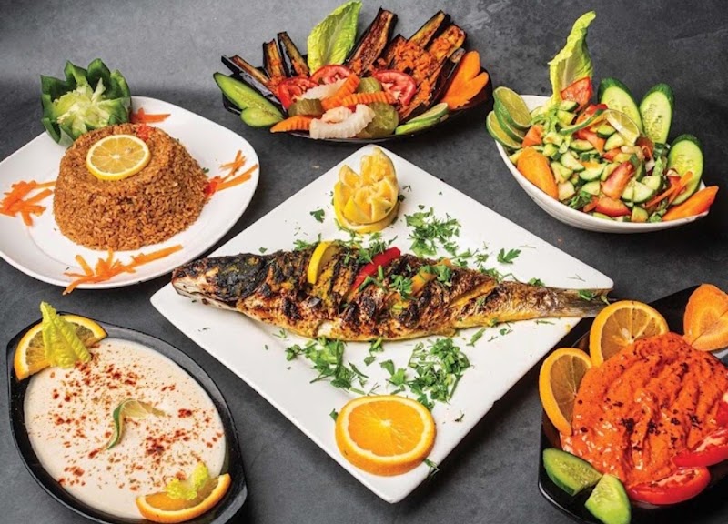 Halaqat al samak حلقة السمك