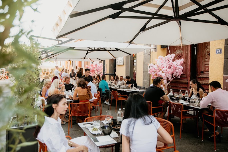 Seafood restaurants in Timisoara