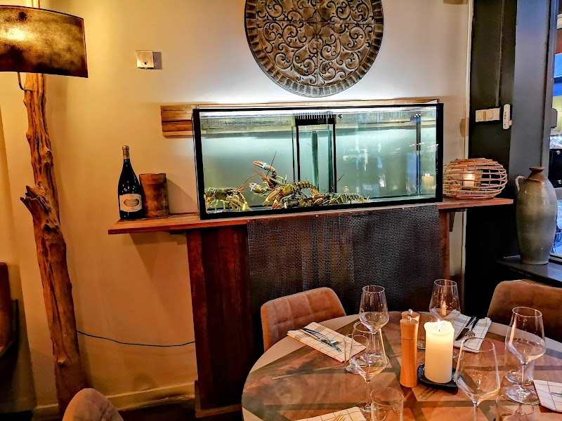 Restaurant Het Zuiden Fish & Wine - Steak & Beer π₯©πΊ