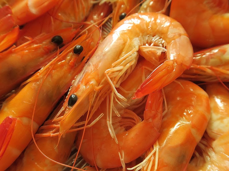 KIKOS PLACE SEAFOOD