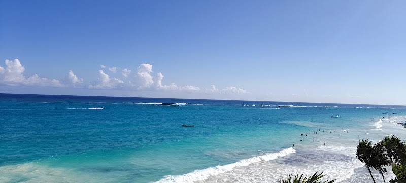 Restaurante pescado Tulum