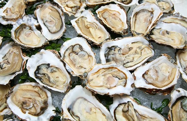 Oyster House Seafood & O-Bar
