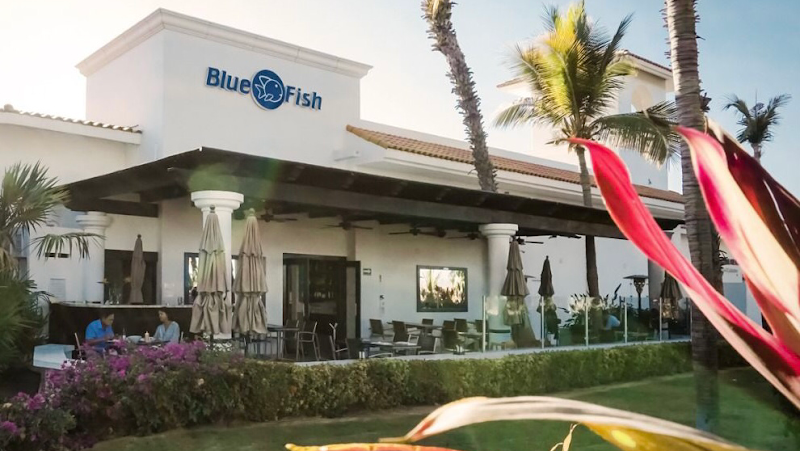 Blue Fish Cabo Seafood