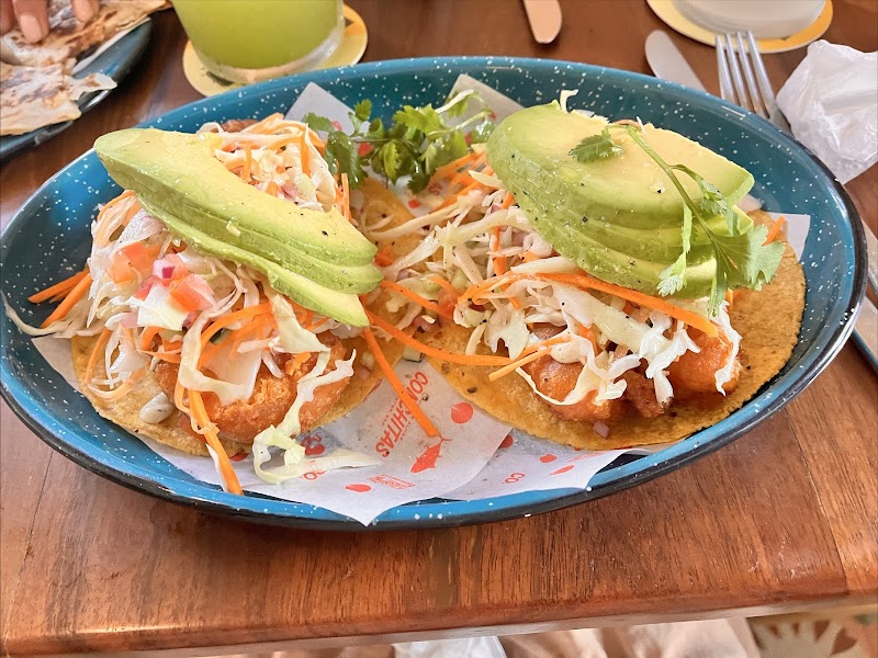 Conchitas Oyster Bar