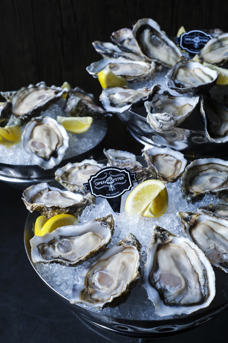 Open Oyster