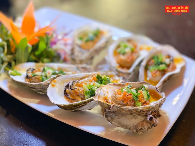 Sen Đại Việt Restaurant - Seafood - Phở