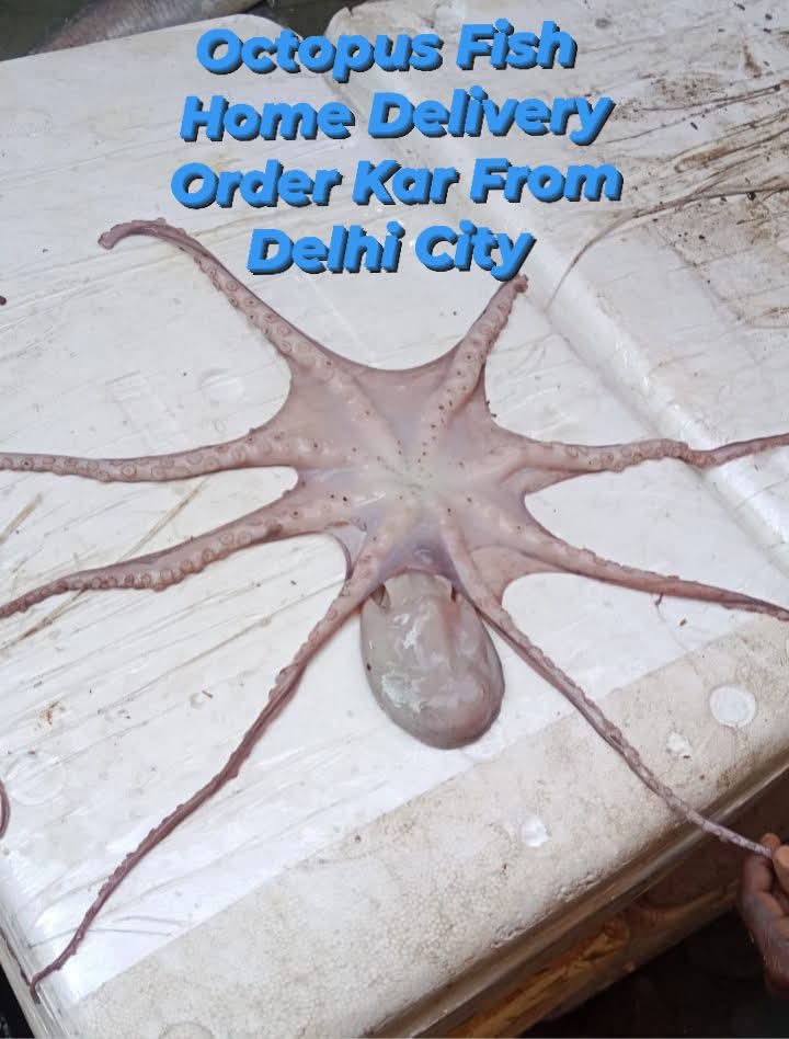 Standard Fresh Fish Shop