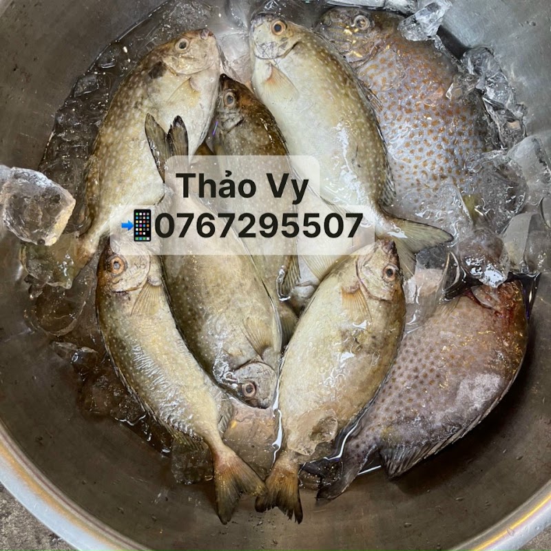 Hải sản Local seafood Thảo Vy