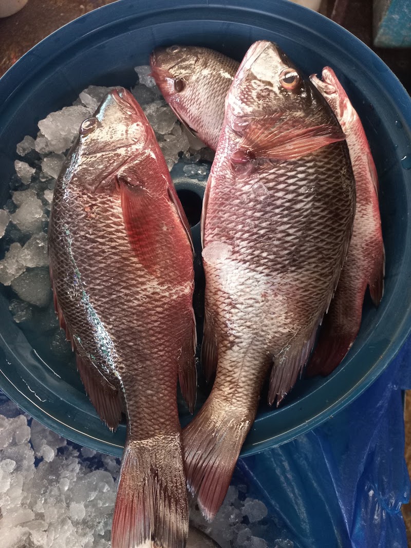 Meena Sea Food Restaurant