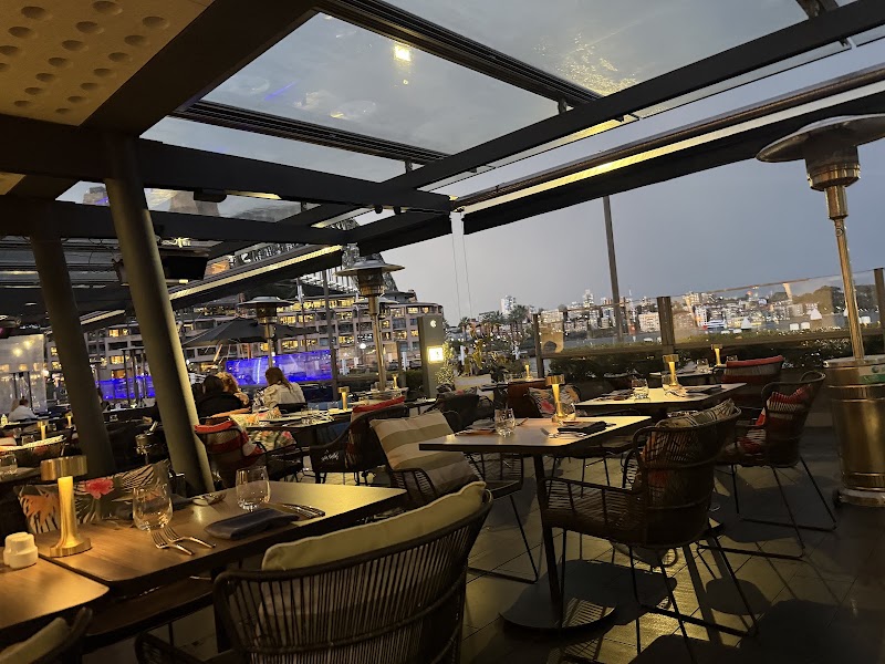 Harbourfront Seafood Restaurant Sydney The Rocks