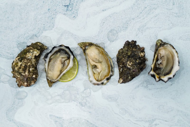 Seafood Connect