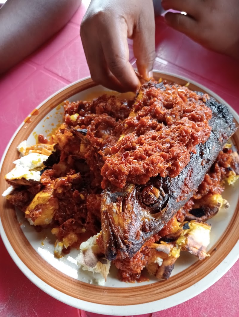 Tinax Bole & Fish Mart
