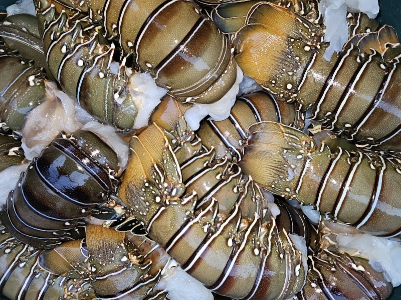 Seafood Market - Seafmarket