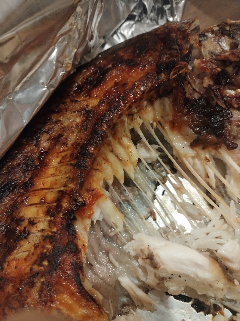 Mazen Fish
