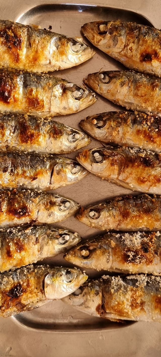 União dos Amigos da Pesca