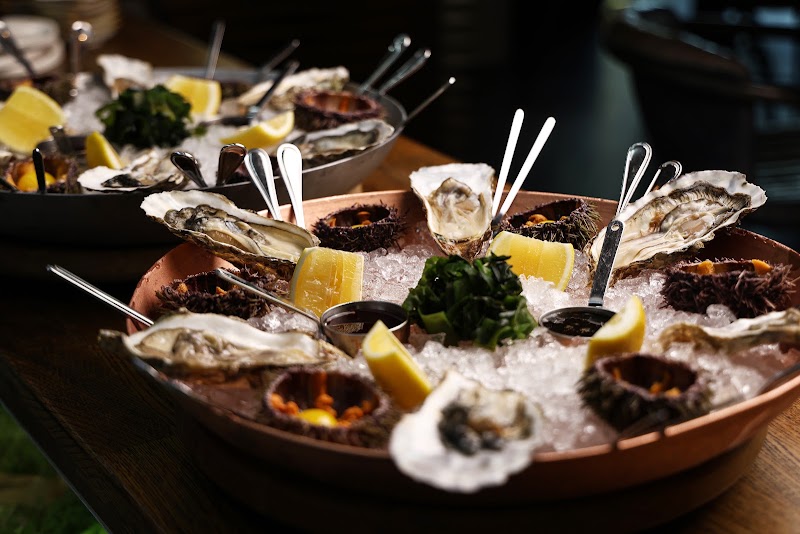 KASHALOT, Oyster Bar